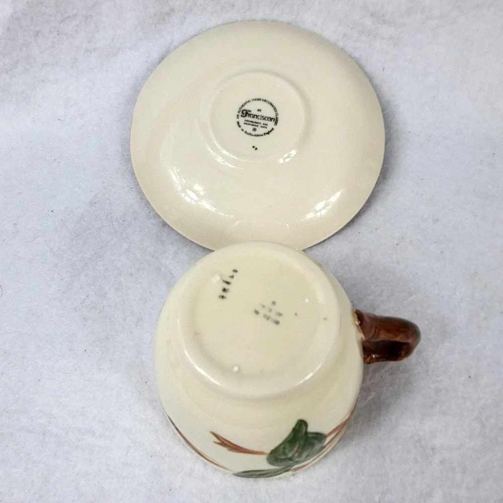 Franciscan Apple Teacup and Saucer Set Hand Decorated Staffordshire England